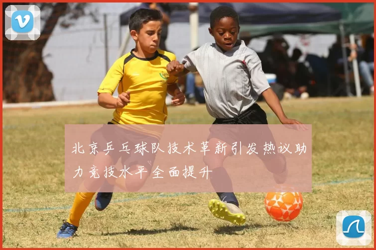 北京乒乓球队技术革新引发热议助力竞技水平全面提升