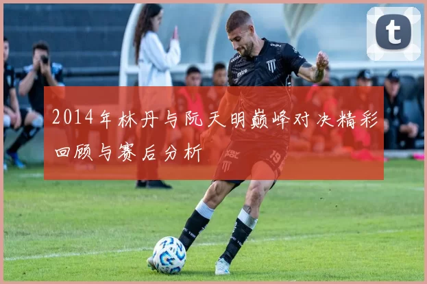 2014年林丹与阮天明巅峰对决精彩回顾与赛后分析