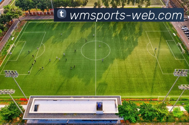 wm体育发展历程