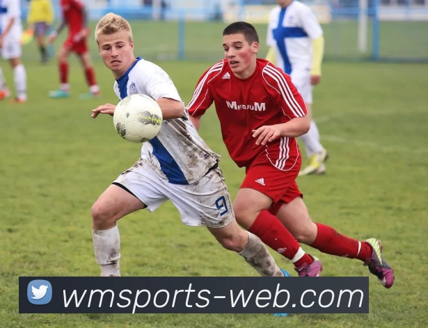 wm体育品牌故事